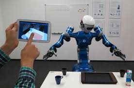 Humanoid Robot Interface
